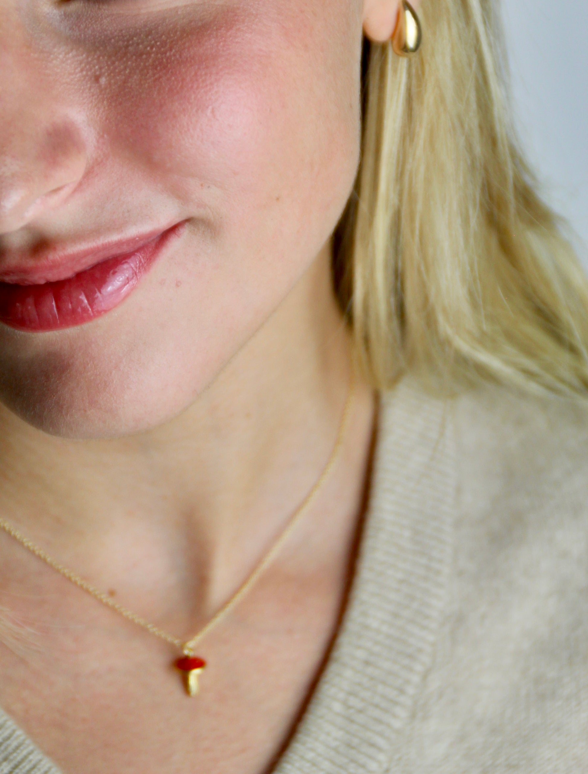 Scopri I Funghi Magici Jack Frost Su - Foto 4